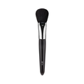 Powder Brush