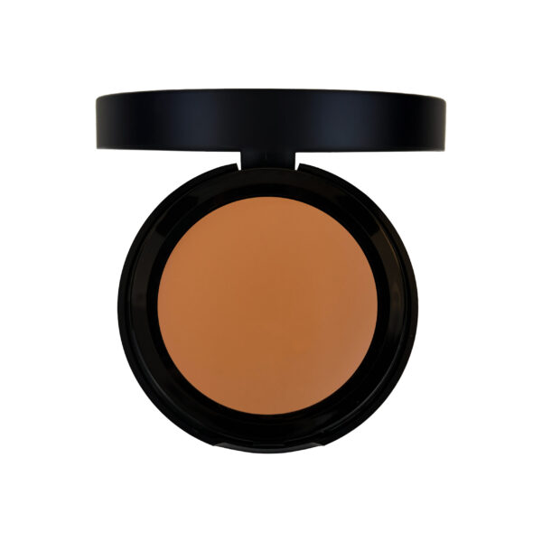Perfect Concealers - Image 9