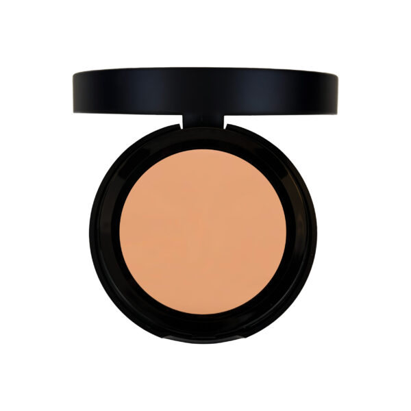 Perfect Concealers - Image 7